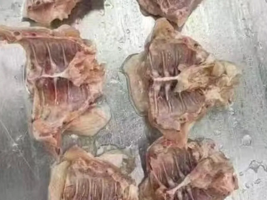 Six raw chicken back pieces arranged on a stainless steel surface