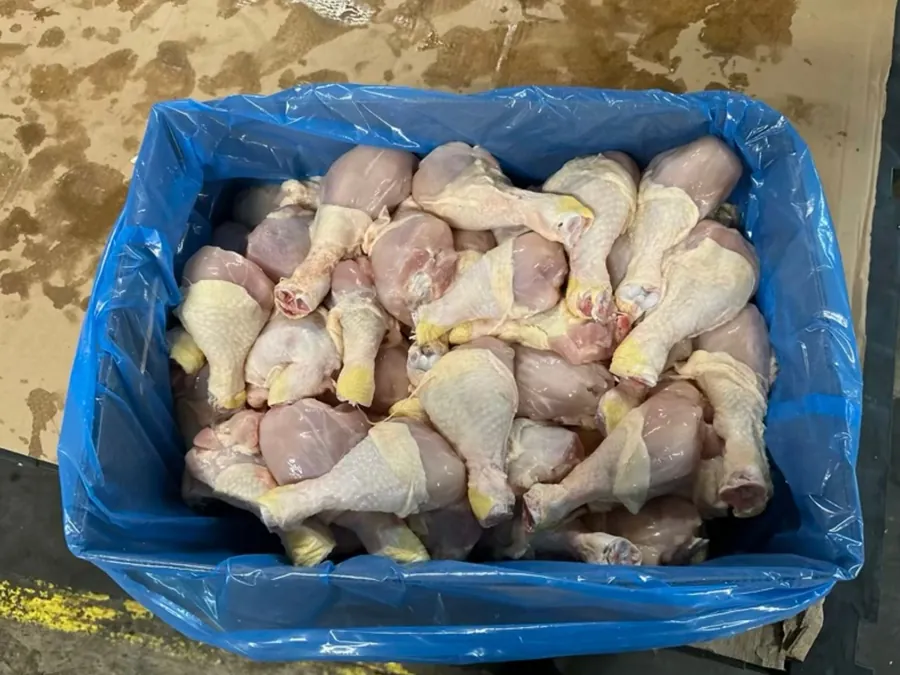Raw chicken drumsticks piled in a case lined with blue plastic