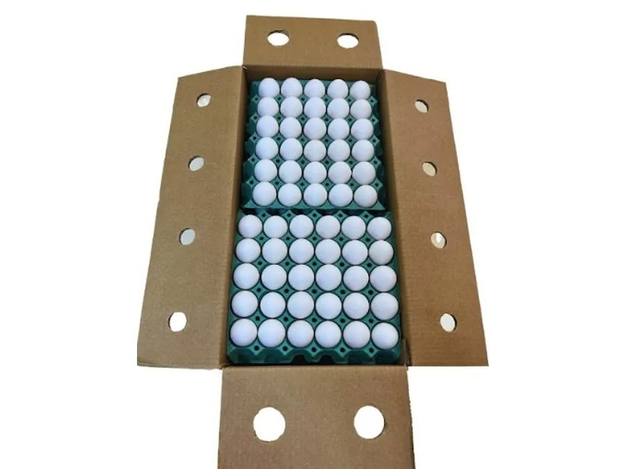 Open cardboard shipping case holding green trays of white eggs